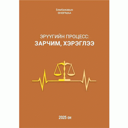 Эрүүгийн процесс : зарчим, хэрэглээ /